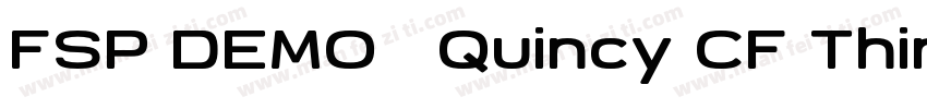 FSP DEMO   Quincy CF Thin字体转换